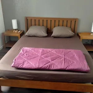  Appartement Le Grand Antoine